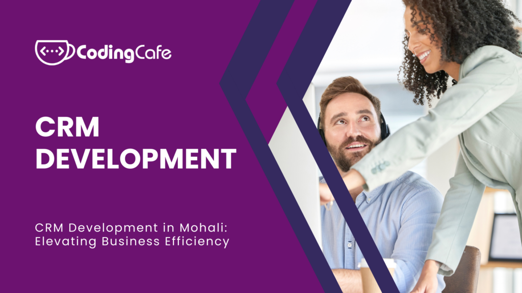 CRM Development in mohali