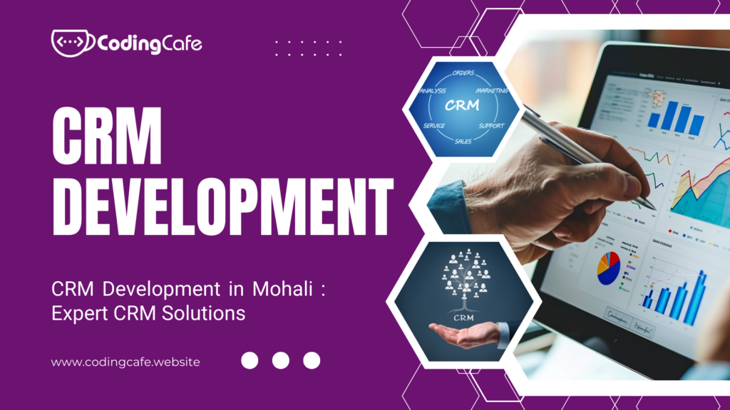 CRM development in Mohali