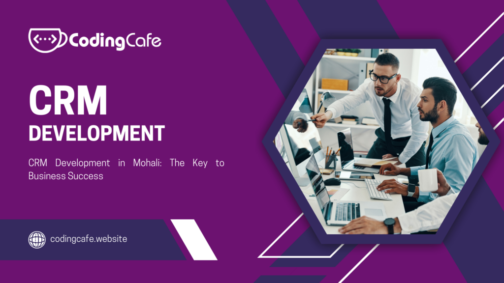 CRM Development in Mohali