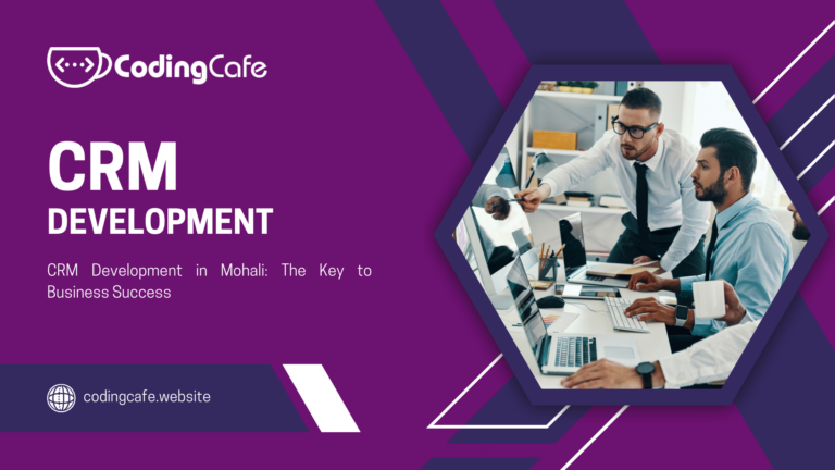 CRM Development in Mohali