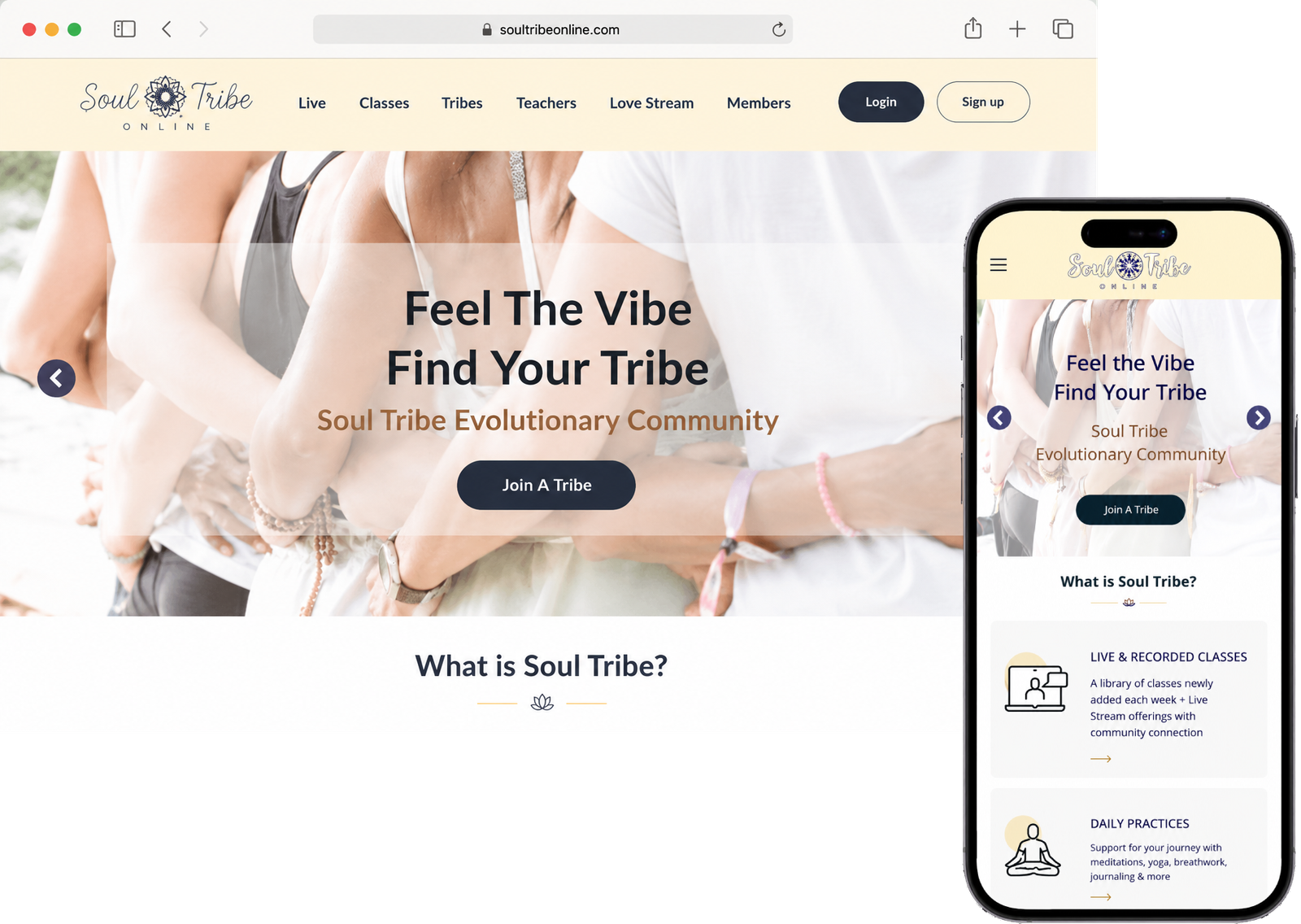 soultribeonline casestudy